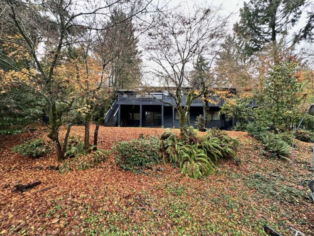 before landscaping project image