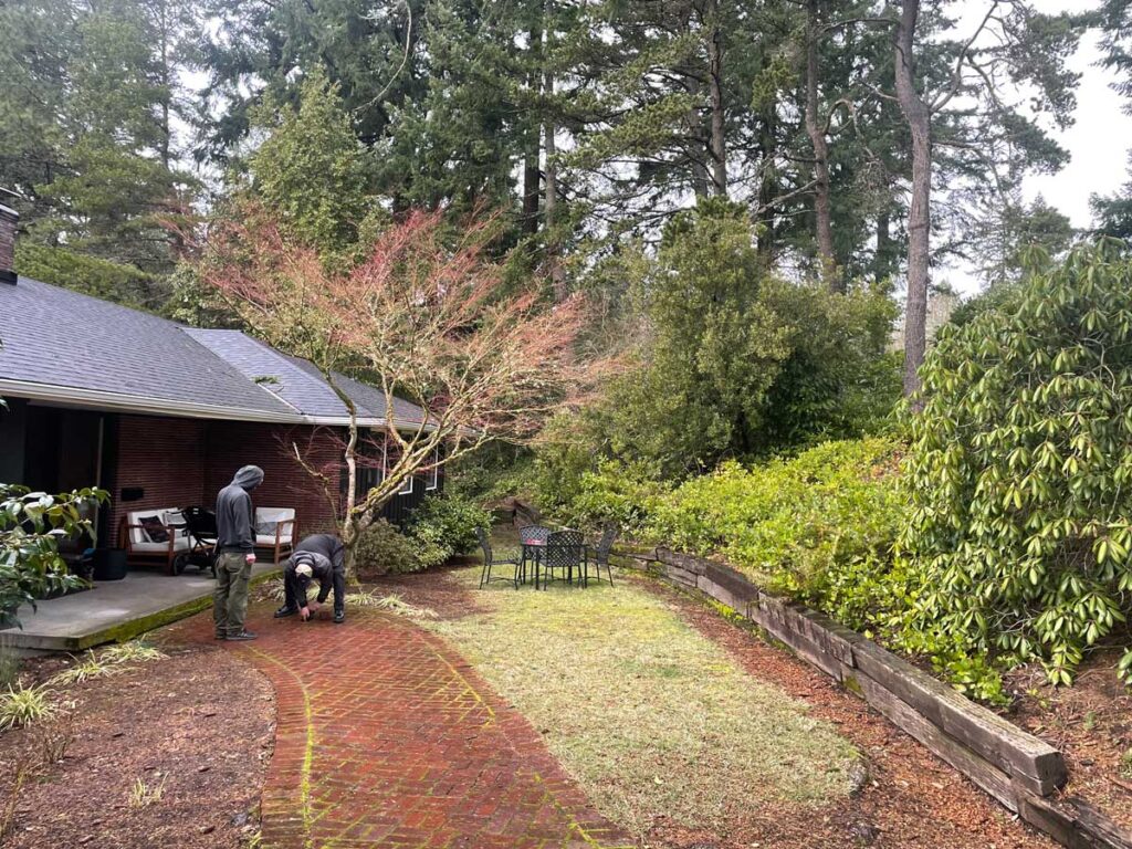 before landscaping transformation