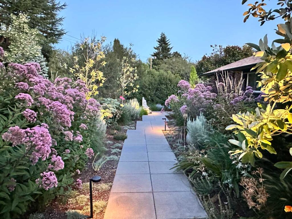 landscaping path plantings milwaukie
