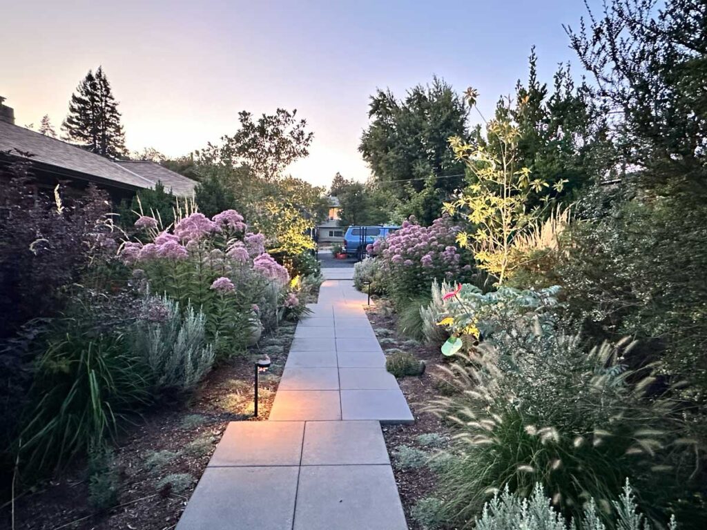 landscaping remodel frontyard path